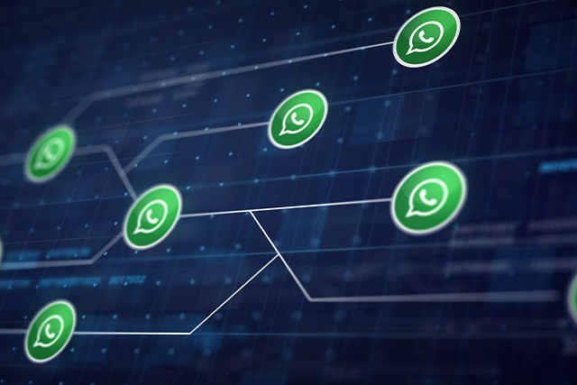 bulk sms & whatsapp api x647