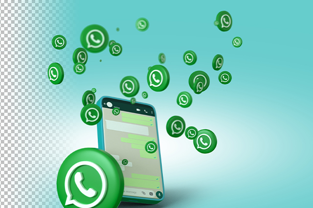 bulk whtasaap